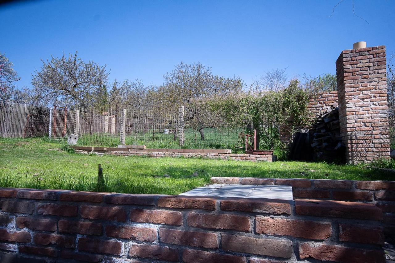 Penzion A Vinarstvi U Vrbu Hustopeče Buitenkant foto
